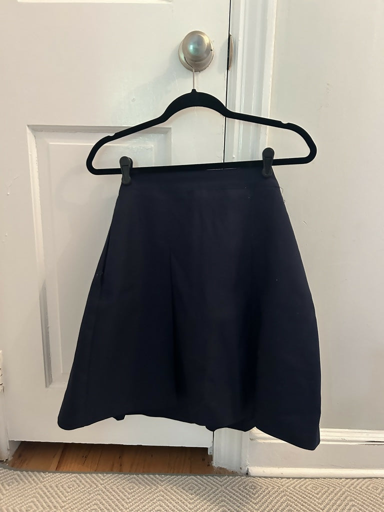 Navy Pleated Skirt