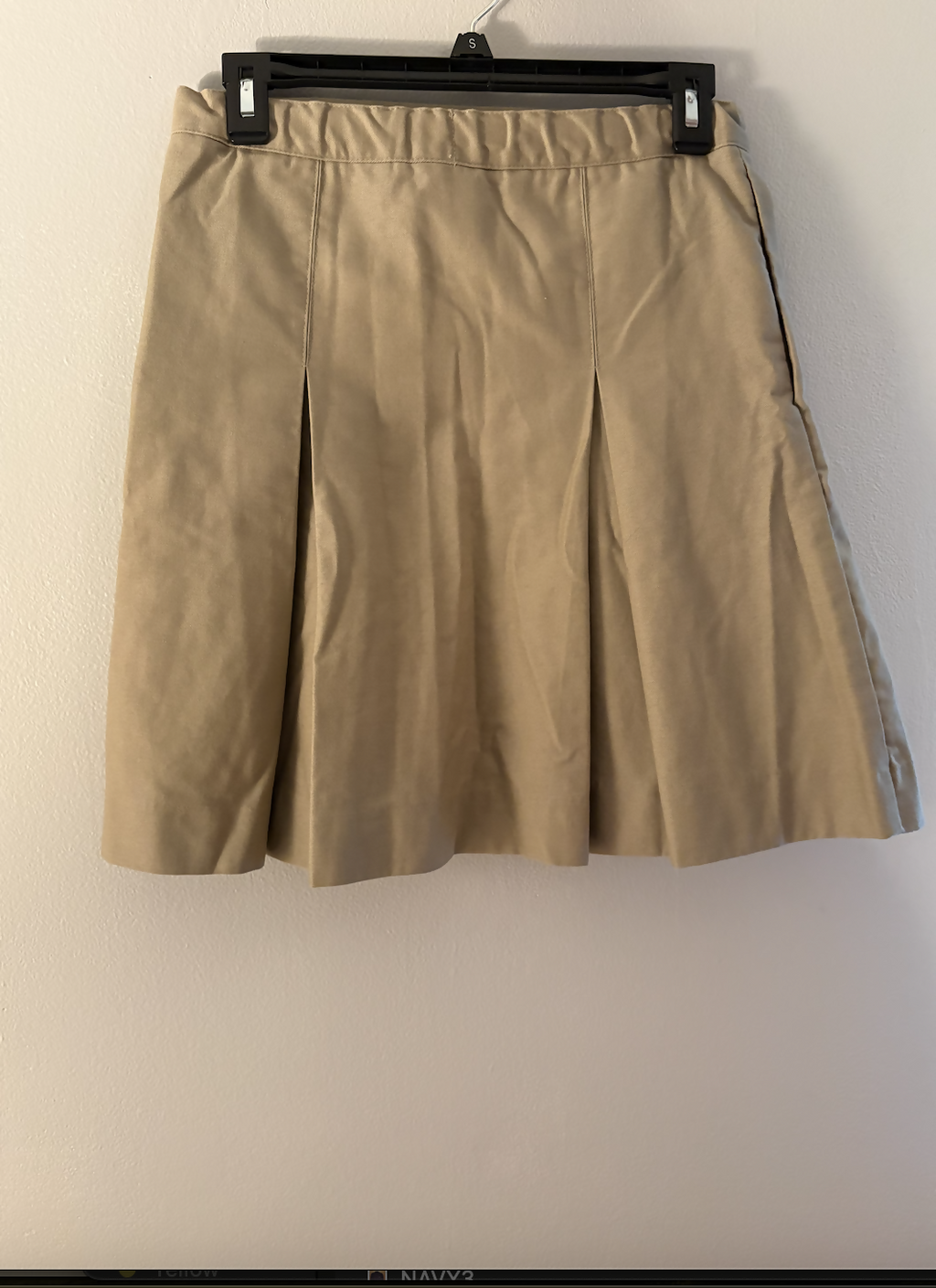 Pleated Skirt with Elastic Waist