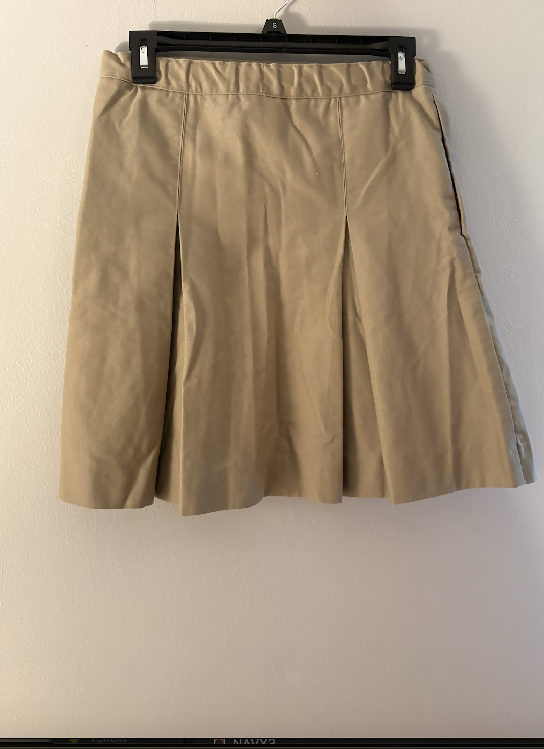 Pleated Skirt with Elastic Waist